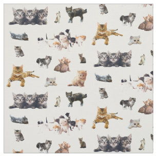 Cute pattern with photographs of Cats and kittens Fabric