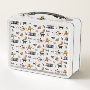 Cute pattern with photographs of Cats and kittens Metal Lunch Box