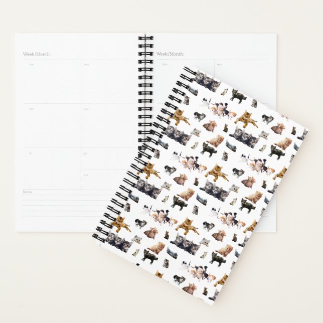 Cute pattern with photographs of Cats and kittens Planner (Display)