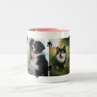 Cute Paw Prints Four Pet Photos