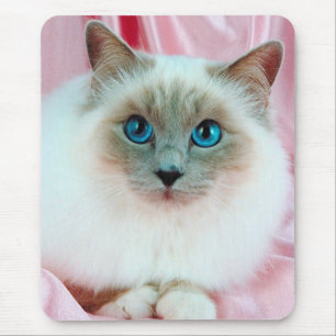 Cute Pedigree Cat Mouse Pad