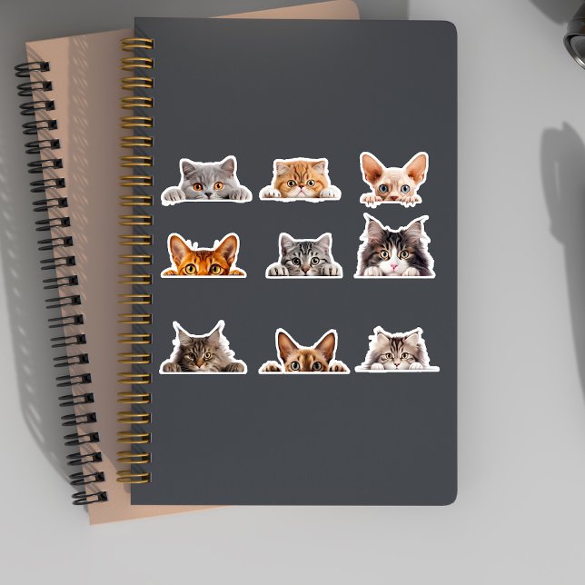 Cute Peeking Cats British Siamese Bengal  (Creator Uploaded)