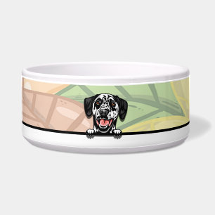 Cute Peeking Dalmatian, food or drink