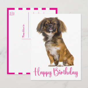 Cute Pekingest Birthday Puppy Dog Bday Postcard