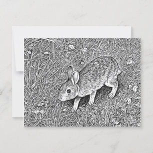 Cute pencil sketch bunny postcard
