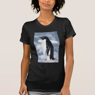 Cute Penguin Beautiful Colourful Nature Animals T-Shirt