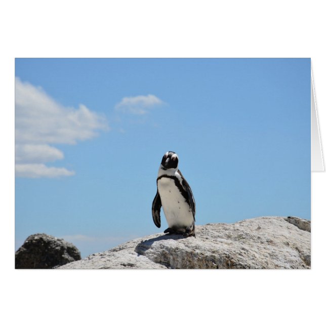 Cute Penguin Keeping in Touch Blank Card (Front Horizontal)