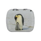 Cute penguin mother and baby