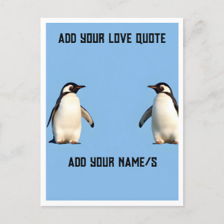 Cute Penguins  Postcard