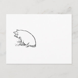 Cute Perky Pig Farm Animal Nature Cartoon Postcard