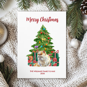 Cute Persian Cat Holiday Card