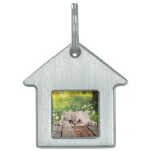 Cute Persian Peeking Cat Pet ID Tag