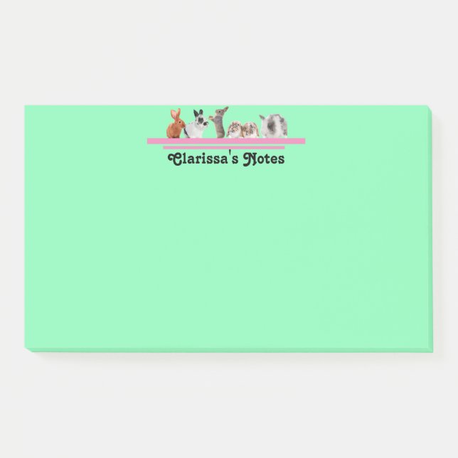Cute Personalised Bunny Stationery Sticky Post-it  Notes (Front)