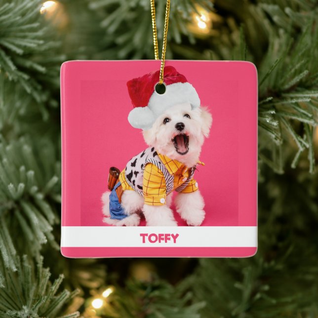 Cute Personalised Christmas Pet  Ceramic Ornament (Tree)