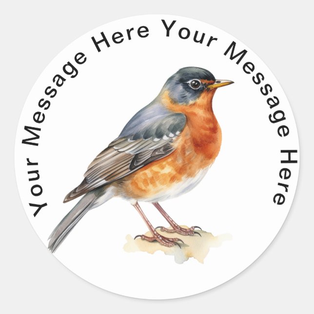 Cute Personalized Bird Stickers American Robin  (Front)
