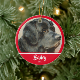 Cute Personalized Dog Photo Ceramic Tree Decoration