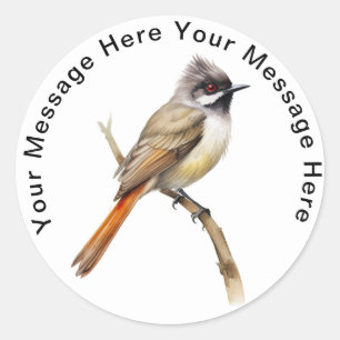 Cute Personalized Songbird Stickers Bulbul