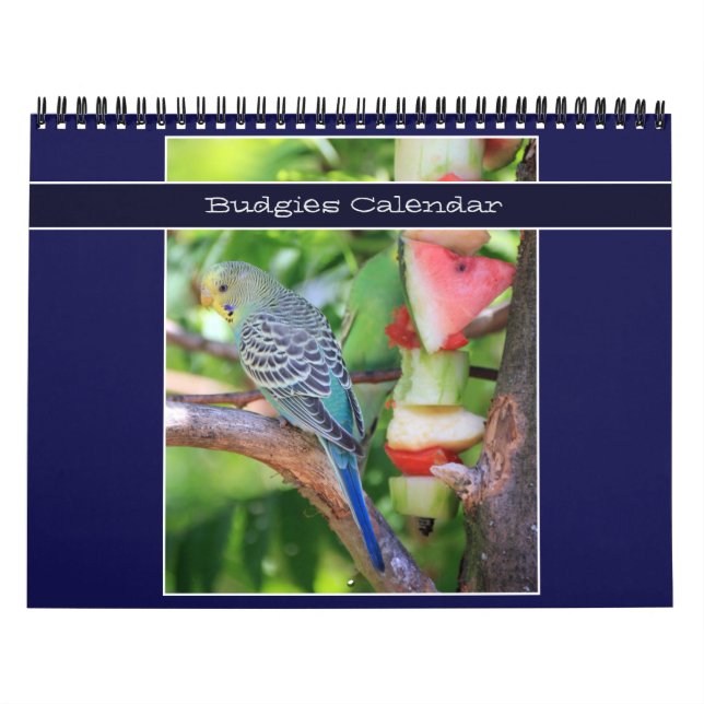 Cute Pet Budgie Parrot Photography 2026 Birds Calendar (Cover)
