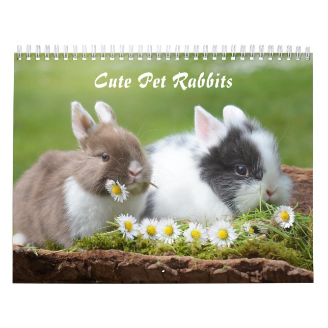 Cute Pet Bunny Rabbits Calendar (Cover)
