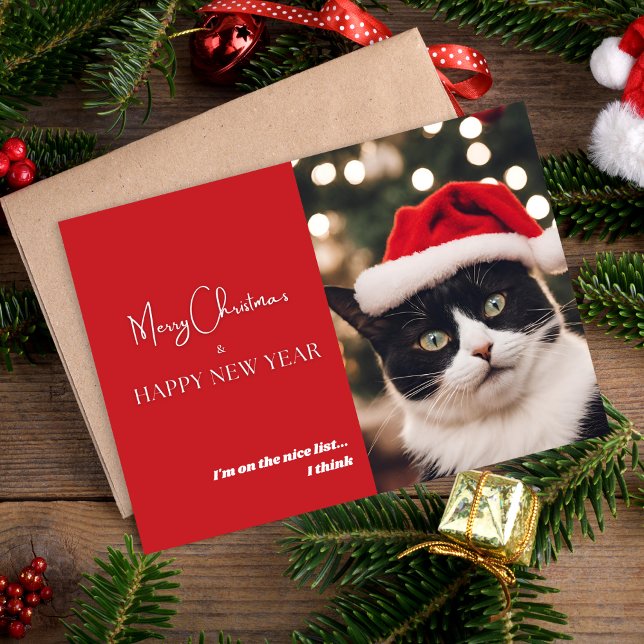 Cute Pet Cat Holiday Card (Creator Uploaded)