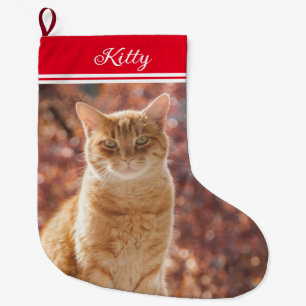 cute Pet Christmas Cat Photo Small Large Christmas Stocking