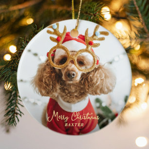 Cute Pet Christmas Photo Naughty Dog Funny Puppy Ceramic Tree Decoration