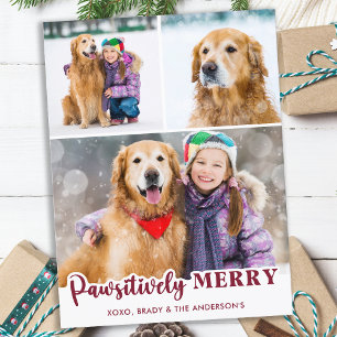 Cute Pet Dog Photo Collage Pawsitively Merry      Holiday Postcard