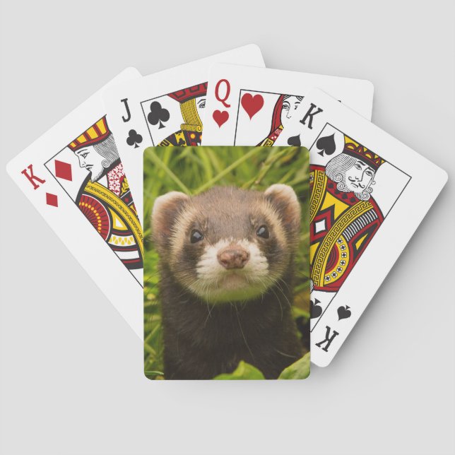 Cute Pet Ferret in the Grass Playing Cards (Back)