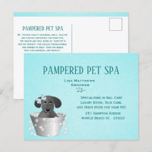 Cute Pet Groomer Budget Marketing  Postcard