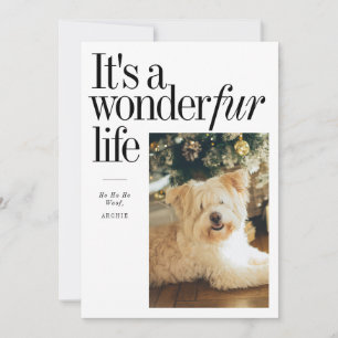 Cute Pet It's A Wonderfur LifeChristmas Photo Holiday Card