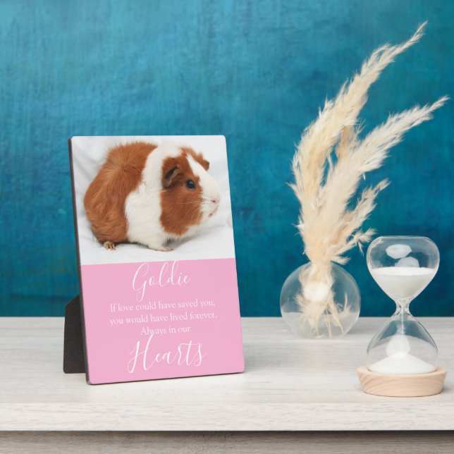 Cute Pet Memorial Plaque (Side)