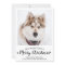 Cute Pet Photo 2025 Calendar Dog Merry Christmas