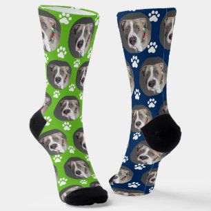 Cute Pet Photo 2 Colour Sporty Green Blue Socks