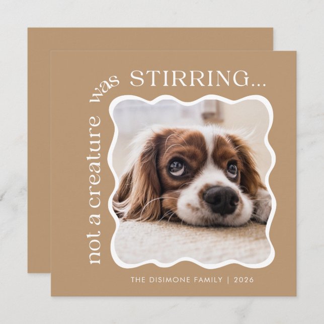 Cute Pet Photo Christmas Holiday Card (Front/Back)