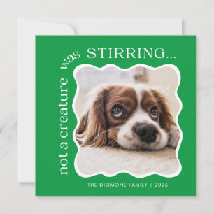 Cute Pet Photo Green Christmas Holiday Card