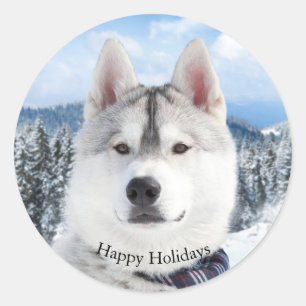 Cute Pet Photo Happy Holidays Sticker