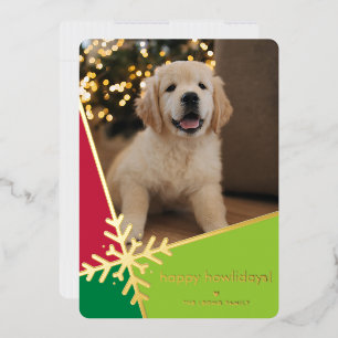 CUTE PET PHOTO modern family snowflake festive red
