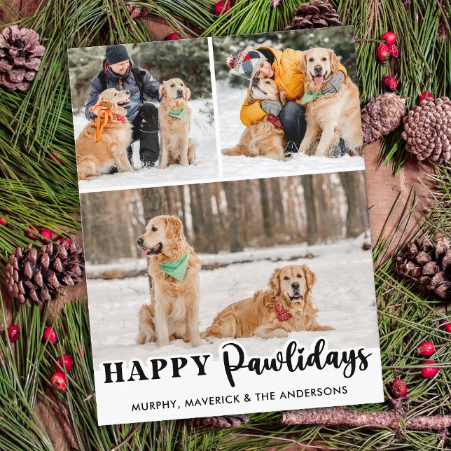 Cute Pet Photo Quarantine Stay at Home Dog Mom Holiday Postcard (Creator Uploaded)