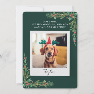 Cute Pet Photo Script Funny Dog Christmas Holiday Card