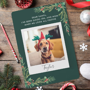 Cute Pet Photo Script Funny Dog Christmas Holiday Card