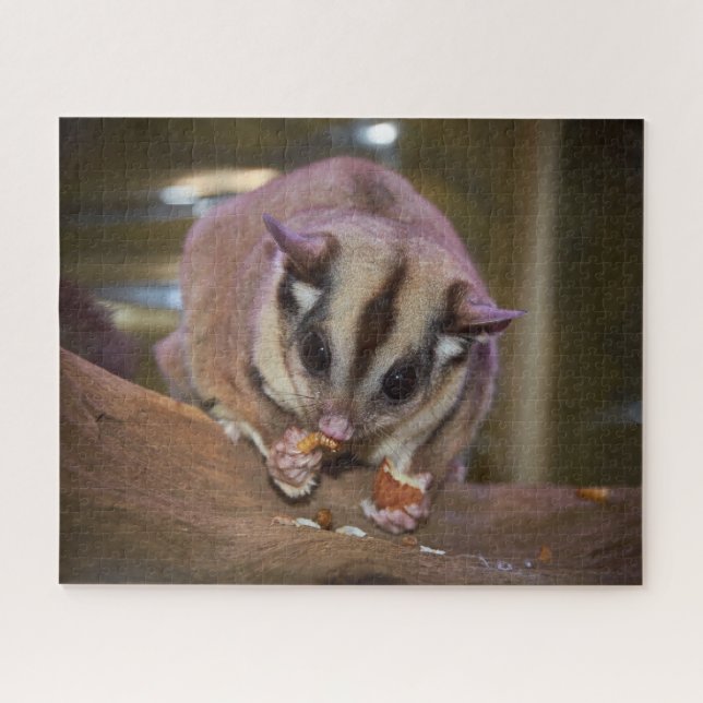 Cute Pet Sugar Glider Eating Jigsaw Puzzle (Horizontal)