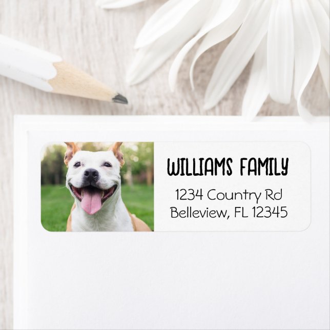 Cute Pet Template Dog Cat Return Address (Insitu)