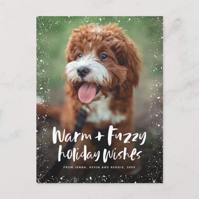 Cute pet warm and fuzzy Christmas photo Holiday Postcard (Front)