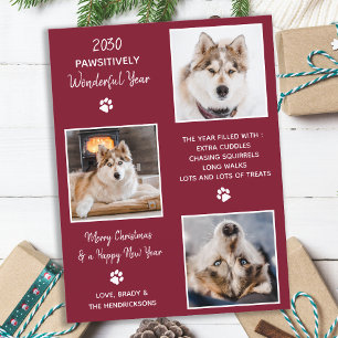 Cute Pet Year in Review Custom Dog Photo Collage H Postcard