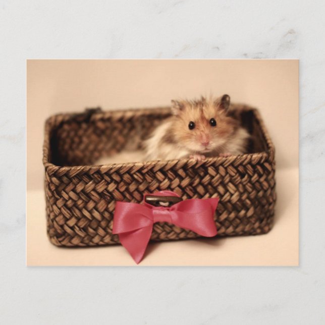 Cute PetL0ve postcard (Front)