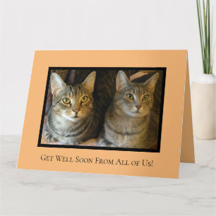Cute Pets Cheerful Get Well Soon Card