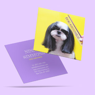 Cute Pets Grooming Care Services Puppy Dogs  Square Business Card