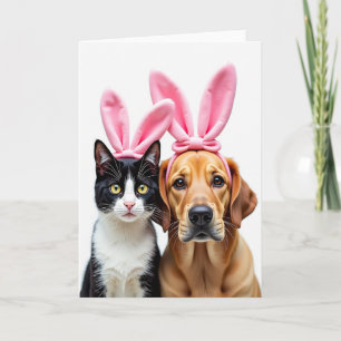 Cute Pets Headbands Photo Card