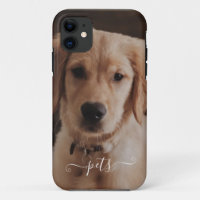 Cute pets photo for remember 