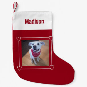 Cute Photo of Dog Smiling Red and White Add Name Small Christmas Stocking